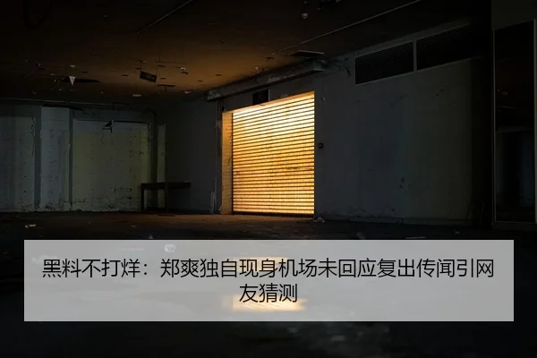 黑料不打烊：郑爽独自现身机场未回应复出传闻引网友猜测